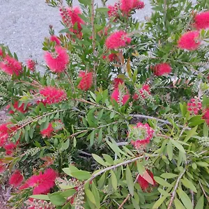 https://les-jardins-celestes.hotels-rhonealpes.com